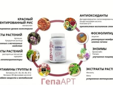 Как ГепаАрт от Адженис помогает печени.