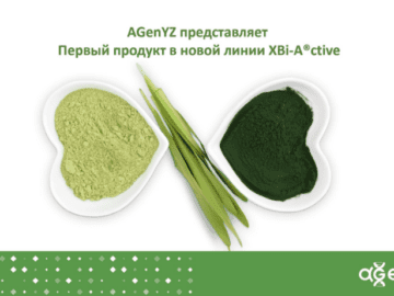 AGenYZ